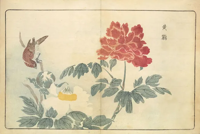 Framed Print : Illustration from Pictures of Imported Birds, 1790. Creator: Kitao, Masayoshi (1764-1824). Illustration from Pictures of Imported Birds, 1790. Creator: Kitao, Masayoshi (1764-1824) Framed Print : Illustration from Pictures of Imported Birds, 1790. Creator: Kitao, Masayoshi (1764-1824). Illustration from Pictures of Imported Birds, 1790. Creator: Kitao, Masayoshi (1764-1824)