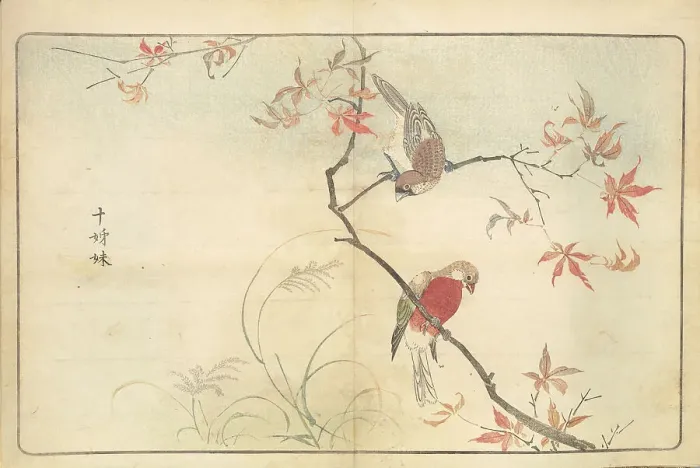 Framed Print : Illustration from Pictures of Imported Birds, 1790. Creator: Kitao, Masayoshi (1764-1824). Illustration from Pictures of Imported Birds, 1790. Creator: Kitao, Masayoshi (1764-1824) Framed Print : Illustration from Pictures of Imported Birds, 1790. Creator: Kitao, Masayoshi (1764-1824). Illustration from Pictures of Imported Birds, 1790. Creator: Kitao, Masayoshi (1764-1824)