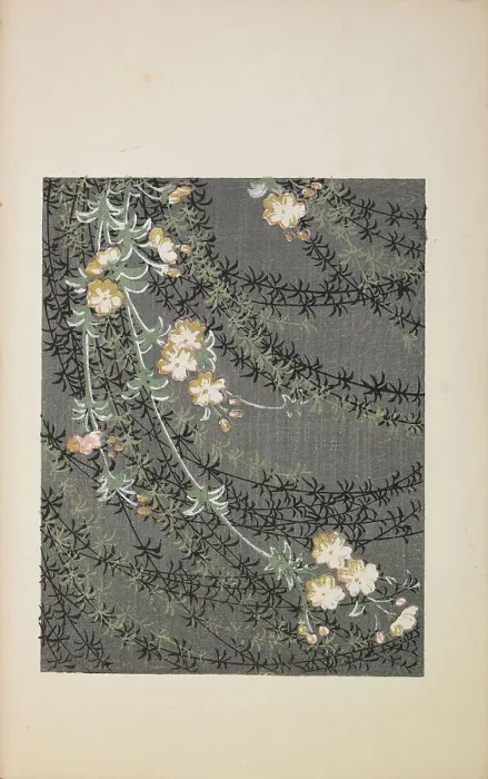 Framed Print : Illustration from Shin bijutsukai, 1901-1902. Creator: Sekka, Kamisaka (1866-1942). Illustration from Shin bijutsukai, 1901-1902. Creator: Sekka, Kamisaka (1866-1942)