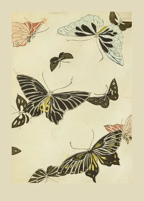 Framed Print : Illustration from Shin bijutsukai, 1901-1902. Creator: Sekka, Kamisaka (1866-1942). Illustration from Shin bijutsukai, 1901-1902. Creator: Sekka, Kamisaka (1866-1942) Framed Print : Illustration from Shin bijutsukai, 1901-1902. Creator: Sekka, Kamisaka (1866-1942). Illustration from Shin bijutsukai, 1901-1902. Creator: Sekka, Kamisaka (1866-1942)