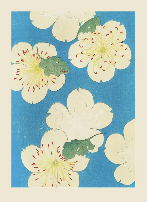 Framed Print : Illustration from Shin bijutsukai, 1901-1902. Creator: Sekka, Kamisaka (1866-1942). Illustration from Shin bijutsukai, 1901-1902. Creator: Sekka, Kamisaka (1866-1942) Framed Print : Illustration from Shin bijutsukai, 1901-1902. Creator: Sekka, Kamisaka (1866-1942). Illustration from Shin bijutsukai, 1901-1902. Creator: Sekka, Kamisaka (1866-1942)
