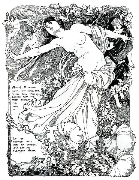 An illustration for The Song of Solomon, 1899