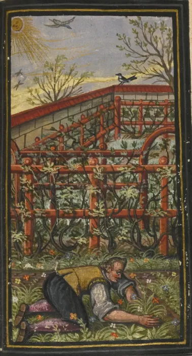 Framed Print : Illustration for The wonderful summer time of eternal life von Jacob Zader, 1603. Artist: Anonymous Framed Print : Illustration for The wonderful summer time of eternal life von Jacob Zader, 1603. Artist: Anonymous