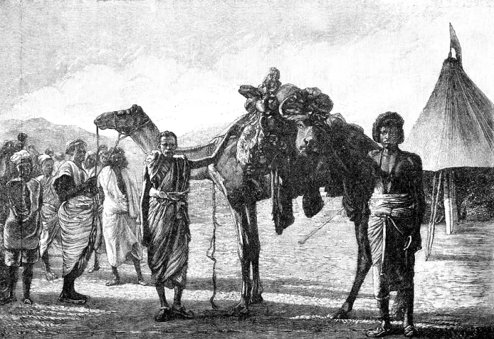 Framed Print : Illustrations of 'The Wild Tribes of the Soudan', by F. L. James...: arrival of meat in camp, 1883. Creator: Unknown Framed Print : Illustrations of 'The Wild Tribes of the Soudan', by F. L. James...: arrival of meat in camp, 1883. Creator: Unknown