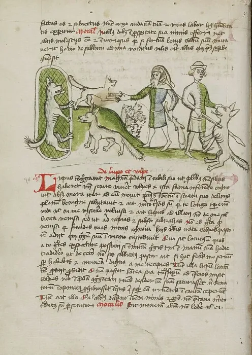 Framed Print : An Imprisoned Wolf and a Fox and Many Dogs Nearby: A Elderly... third quarter of 15th century. Creator: Unknown Framed Print : An Imprisoned Wolf and a Fox and Many Dogs Nearby: A Elderly... third quarter of 15th century. Creator: Unknown