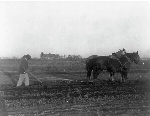 Improved method of plowing, (1899?). Creator: Frances Benjamin Johnston