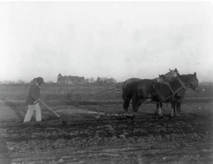 Framed Print : Improved method of plowing, (1899?). Creator: Frances Benjamin Johnston Framed Print : Improved method of plowing, (1899?). Creator: Frances Benjamin Johnston