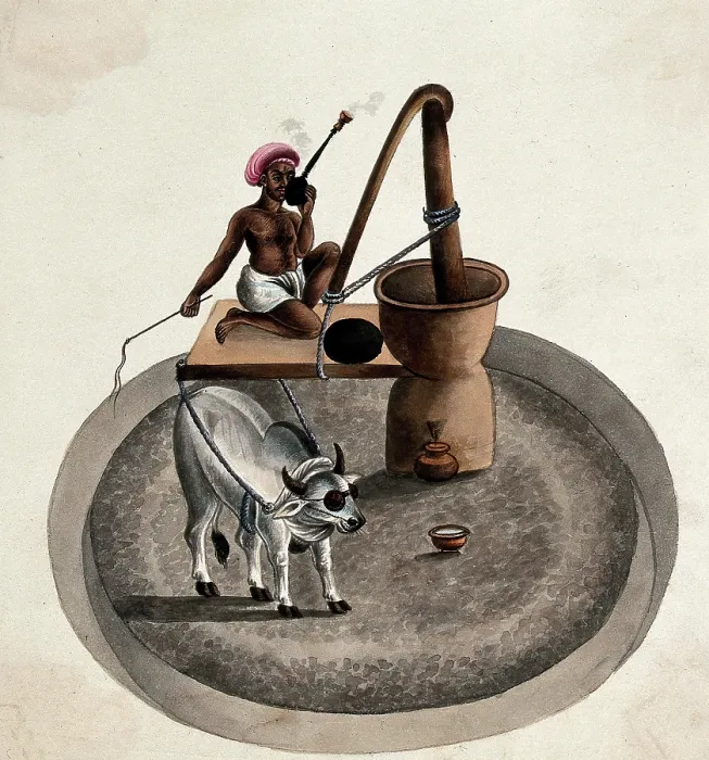 Framed Print : India: a man smoking a hookah whips a bullock who is drawing him... (between 1800 and 1899?). Creator: Unknown Framed Print : India: a man smoking a hookah whips a bullock who is drawing him... (between 1800 and 1899?). Creator: Unknown