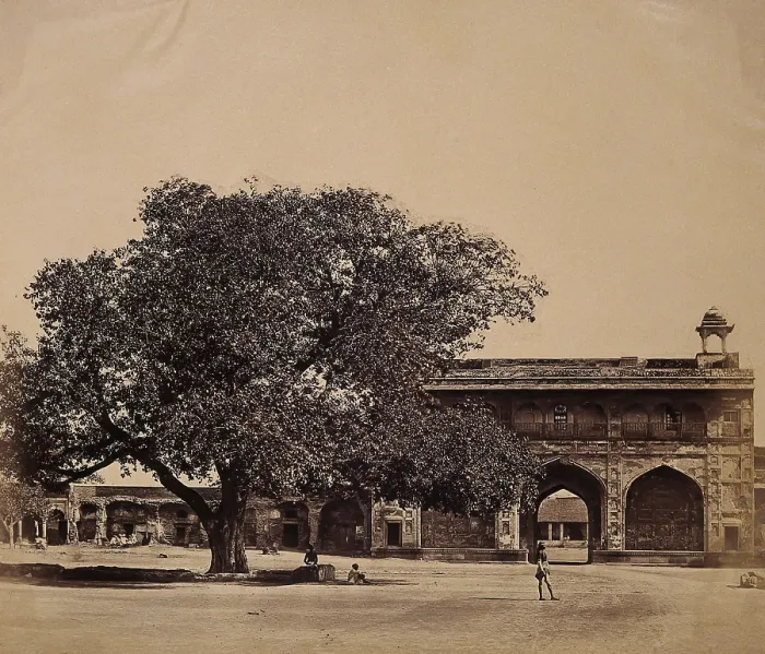Framed Print : India: a tree in the grounds of a palace under which three hundred Europeans were murdered, c1858. Creator: Felice Beato Framed Print : India: a tree in the grounds of a palace under which three hundred Europeans were murdered, c1858. Creator: Felice Beato