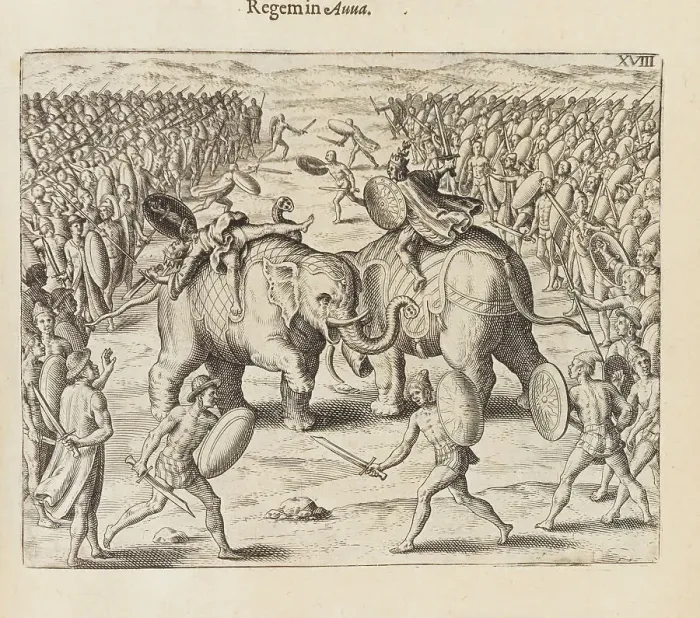Framed Print : From Indiae orientalis pars septima, 1601-1604. Creator: Bry, Johann Theodor de (1561-1623). From Indiae orientalis pars septima, 1601-1604. Creator: Bry, Johann Theodor de (1561-1623)