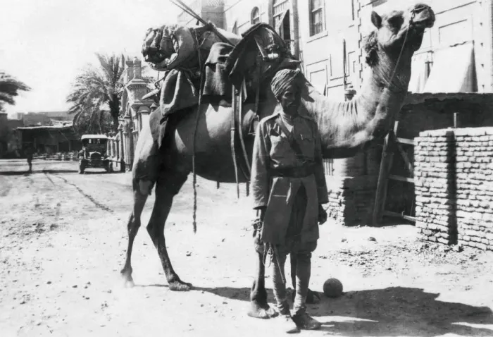 Framed Print : Indian camel trooper, Baghdad, 1918 Framed Print : Indian camel trooper, Baghdad, 1918