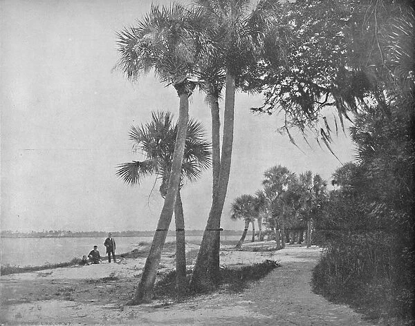 Indian River, Florida, c1897. Creator: Unknown