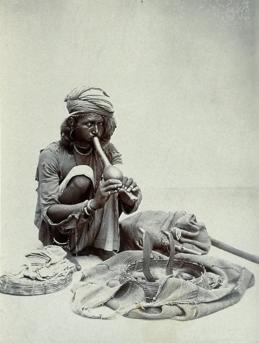 Framed Print : An Indian snake charmer squatting down playing his pipe, with two cobras in a basket in... c1900. Creator: Unknown Framed Print : An Indian snake charmer squatting down playing his pipe, with two cobras in a basket in... c1900. Creator: Unknown