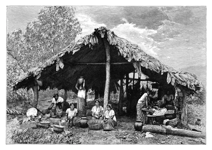 Framed Print : Indian women of the hot lands on the Pacific slope, Central America, c1890. Artist: Henri Thiriat Framed Print : Indian women of the hot lands on the Pacific slope, Central America, c1890. Artist: Henri Thiriat