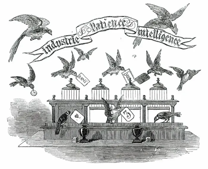 Framed Print : Industrie, Patience, Intelligence - birds trained by Emilie Vandermeersch, 1850. Creator: Unknown Framed Print : Industrie, Patience, Intelligence - birds trained by Emilie Vandermeersch, 1850. Creator: Unknown