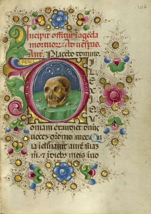 Framed Print : Initial D: A Skull in a Rocky Field; Gualenghi-d'Este Hours, about 1469. Creator: Taddeo Crivelli Framed Print : Initial D: A Skull in a Rocky Field; Gualenghi-d'Este Hours, about 1469. Creator: Taddeo Crivelli