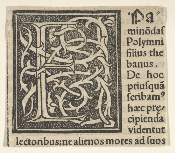 Framed Print : Initial letter E on patterned background, 1520. 1520. Creator: Anon Framed Print : Initial letter E on patterned background, 1520. 1520. Creator: Anon