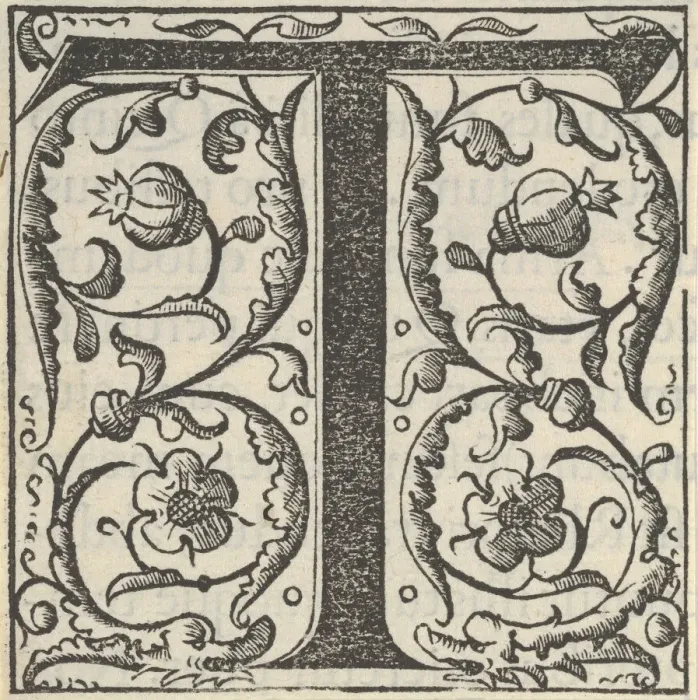 Framed Print : Initial letter T with garlands, mid-16th century. Creator: Unknown Framed Print : Initial letter T with garlands, mid-16th century. Creator: Unknown
