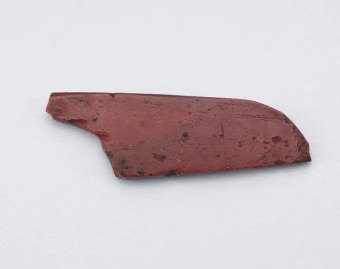 Framed Print : Part of an inlay: a wing form. Cut with a die, Ptolemaic Dynasty or Roman Period Framed Print : Part of an inlay: a wing form. Cut with a die, Ptolemaic Dynasty or Roman Period