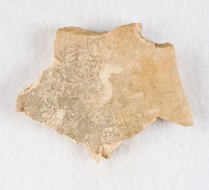 Framed Print : Inscribed bone fragment ('oracle bone'), Late Shang dynasty, ca. 1300-1050 BCE Framed Print : Inscribed bone fragment ('oracle bone'), Late Shang dynasty, ca. 1300-1050 BCE