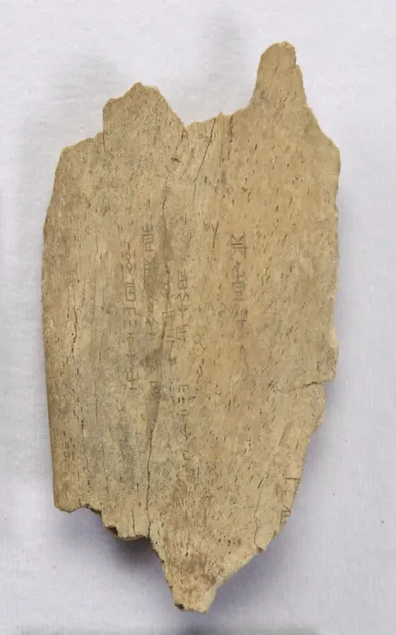 Framed Print : Inscribed bone fragment ('oracle bone'), Late Shang dynasty, ca. 1300-1050 BCE Framed Print : Inscribed bone fragment ('oracle bone'), Late Shang dynasty, ca. 1300-1050 BCE