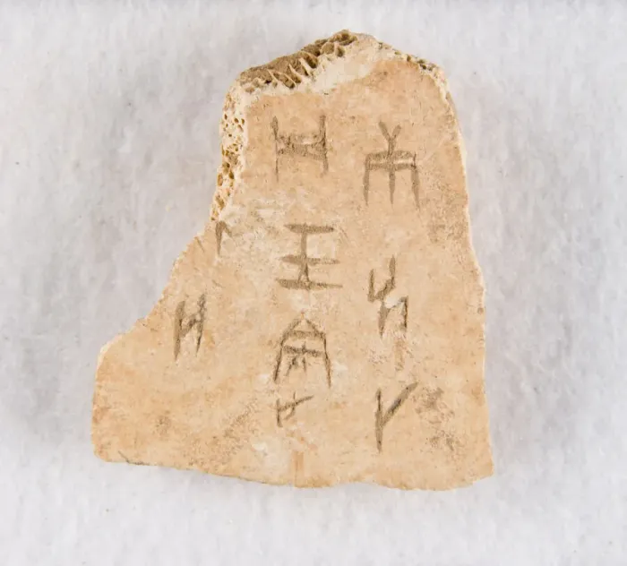 Framed Print : Inscribed bone fragment ('oracle bone'), Late Shang dynasty, ca. 1300-1050 BCE Framed Print : Inscribed bone fragment ('oracle bone'), Late Shang dynasty, ca. 1300-1050 BCE