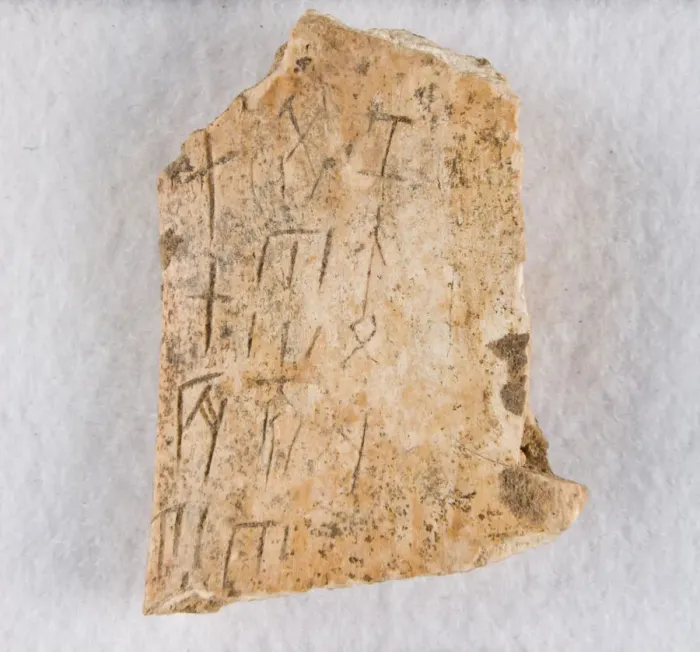 Framed Print : Inscribed bone fragment ('oracle bone'), Late Shang dynasty, ca. 1300-1050 BCE Framed Print : Inscribed bone fragment ('oracle bone'), Late Shang dynasty, ca. 1300-1050 BCE