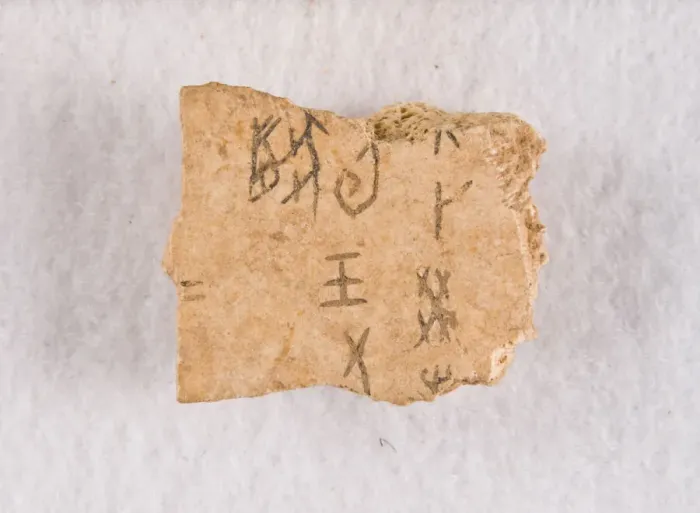 Framed Print : Inscribed bone fragment ('oracle bone'), Late Shang dynasty, ca. 1300-1050 BCE Framed Print : Inscribed bone fragment ('oracle bone'), Late Shang dynasty, ca. 1300-1050 BCE