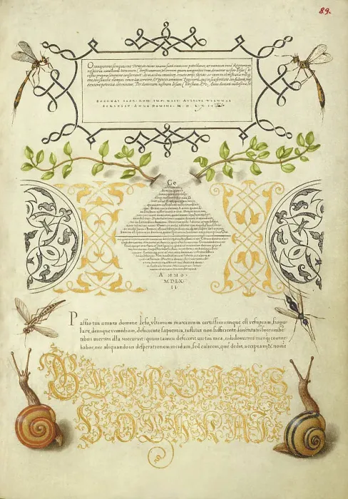 Framed Print : Insects, Basil Thyme, and Land Snails, 1561-1562; illumination added 1591-1596. Creator: Joris Hoefnagel Framed Print : Insects, Basil Thyme, and Land Snails, 1561-1562; illumination added 1591-1596. Creator: Joris Hoefnagel