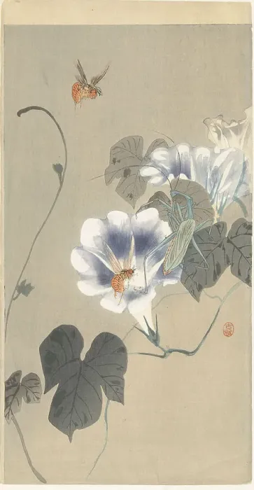 Framed Print : Insects in bindweed, 1920-1930. Creator: Ohara, Koson (1877-1945) Framed Print : Insects in bindweed, 1920-1930. Creator: Ohara, Koson (1877-1945)