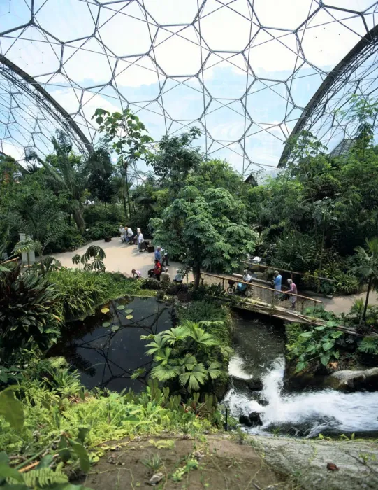 Framed Print : Inside the Humid Tropics Biome, Eden Project, Cornwall Framed Print : Inside the Humid Tropics Biome, Eden Project, Cornwall