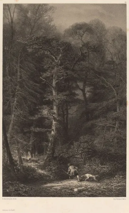 Framed Print : Interieur de Foret. Creator: Karl Bodmer Framed Print : Interieur de Foret. Creator: Karl Bodmer