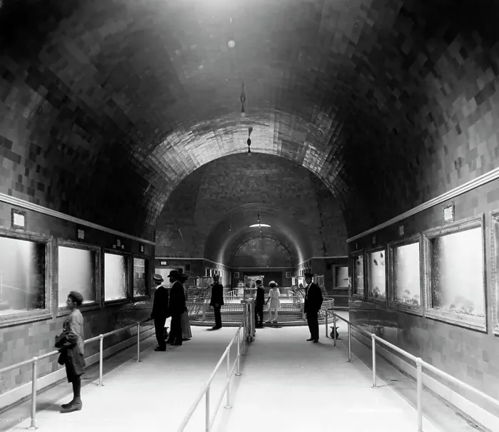 Framed Print : Interior of aquarium, Belle Isle, Detroit, Mich. between 1890 and 1910. Creator: Unknown Framed Print : Interior of aquarium, Belle Isle, Detroit, Mich. between 1890 and 1910. Creator: Unknown