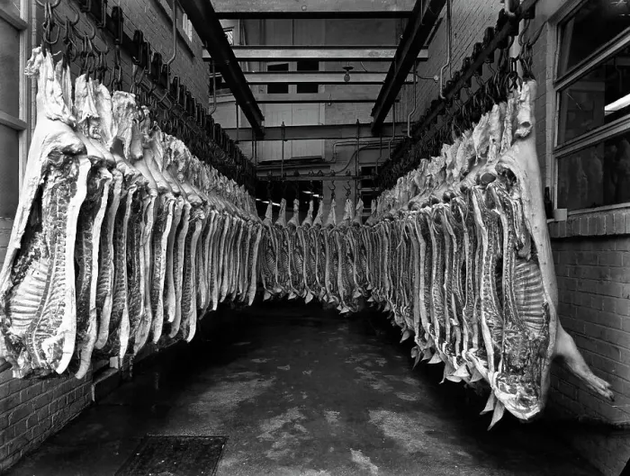 Framed Print : Interior of a butchery factory, Rawmarsh, South Yorkshire, 1955. Artist: Michael Walters Framed Print : Interior of a butchery factory, Rawmarsh, South Yorkshire, 1955. Artist: Michael Walters