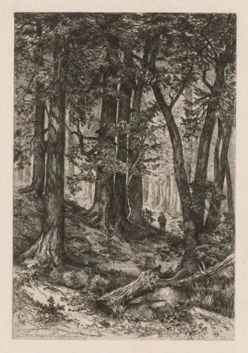 Framed Print : Interior of a California Forest (after Thomas Moran (American, 1837-1926)), , 1888 Framed Print : Interior of a California Forest (after Thomas Moran (American, 1837-1926)), , 1888