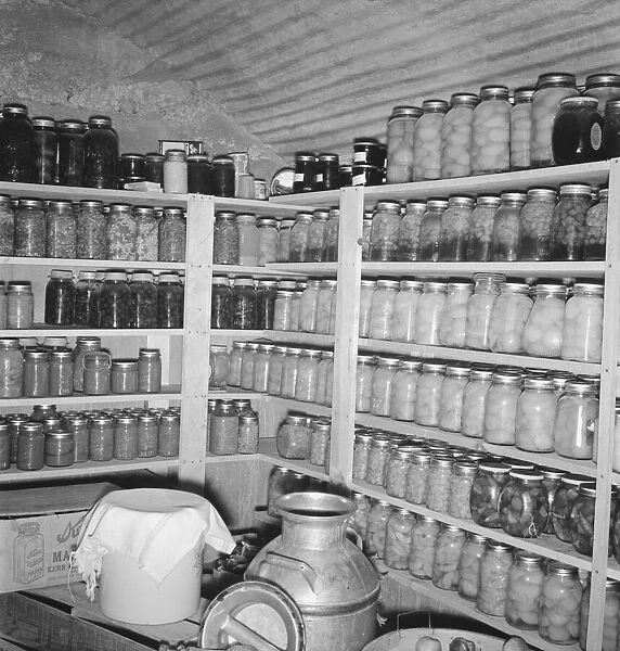 Interior of Mrs. Botners storage cellar, Nyssa Heights, Malheur County, Oregon, 1939. Creator: Dorothea Lange