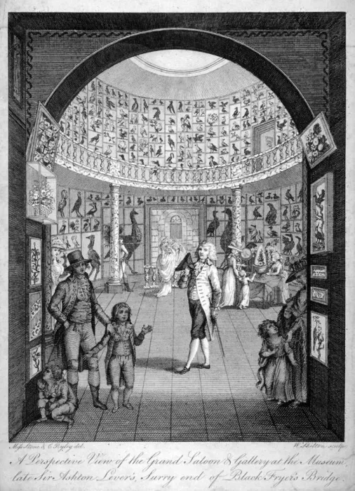 Framed Print : Interior view of the Leverian Museum, Albion Place, Southwark, London, c1795 Framed Print : Interior view of the Leverian Museum, Albion Place, Southwark, London, c1795