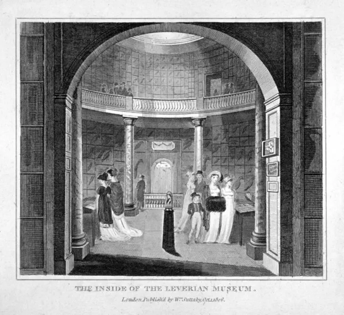 Framed Print : Interior view of the Leverian Museum, Albion Place, Southwark, London, 1806 Framed Print : Interior view of the Leverian Museum, Albion Place, Southwark, London, 1806