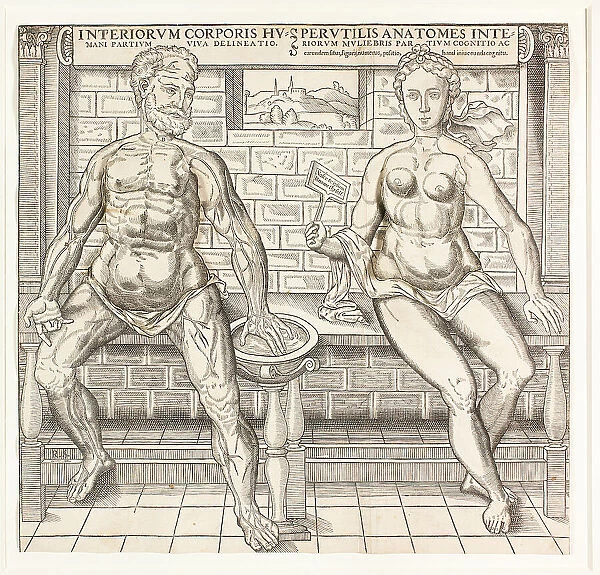 Interiorum corporis humani partium viva delineatio, from the second edition of the... 1555 / 59. Creator: Monogrammist R. S
