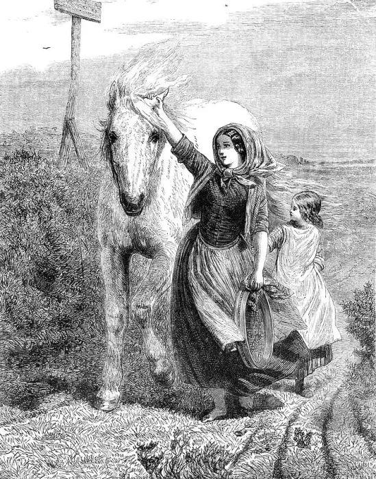Framed Print : The International Exhibition: Fetching the Old Mare Home by F. W. Keyl, 1862. Creator: W Thomas. The International Exhibition: Fetching the Old Mare Home by F. W. Keyl, 1862. Creator: W Thomas