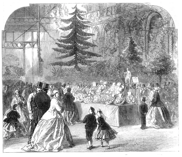 Framed Print : International Exhibition of Fruit at the Horticultural Society's Gardens, South Kensington... 1865. Creator: Unknown Framed Print : International Exhibition of Fruit at the Horticultural Society's Gardens, South Kensington... 1865. Creator: Unknown