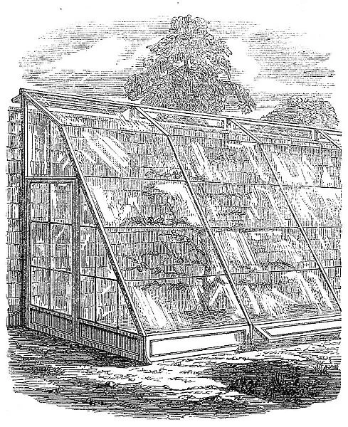 The International Exhibition: Scott's glass walls, 1862. Creator: Unknown