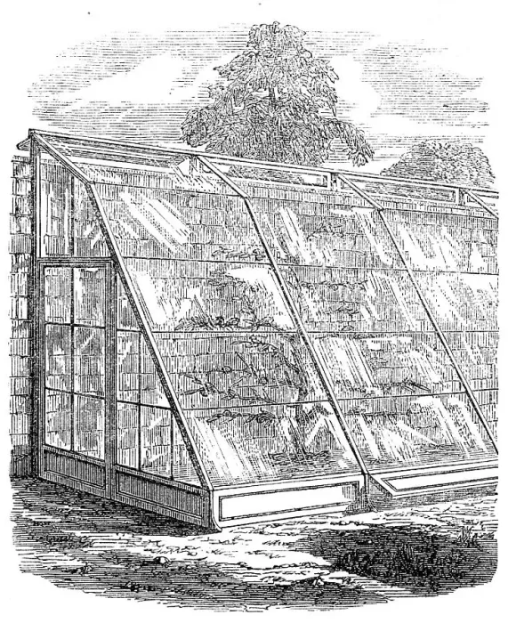Framed Print : The International Exhibition: Scott's glass walls, 1862. Creator: Unknown Framed Print : The International Exhibition: Scott's glass walls, 1862. Creator: Unknown