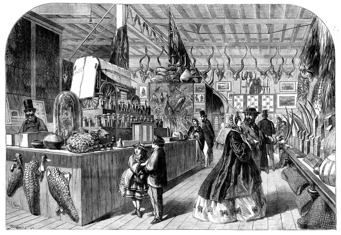 Framed Print : The International Exhibition - View in the Natal Court, 1862. Creator: Mason Jackson Framed Print : The International Exhibition - View in the Natal Court, 1862. Creator: Mason Jackson