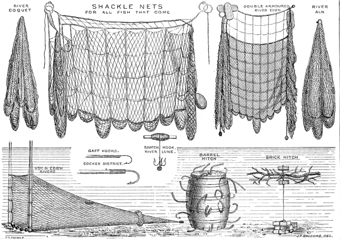 Framed Print : The International Fisheries Exhibition: salmon-poaching implements: Mr. Ffennell's Collection, 1883 Framed Print : The International Fisheries Exhibition: salmon-poaching implements: Mr. Ffennell's Collection, 1883