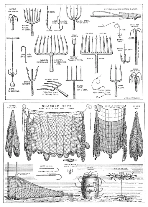 Framed Print : The International Fisheries Exhibition: salmon-poaching implements: Mr. Ffennell's Collection, 1883 Framed Print : The International Fisheries Exhibition: salmon-poaching implements: Mr. Ffennell's Collection, 1883
