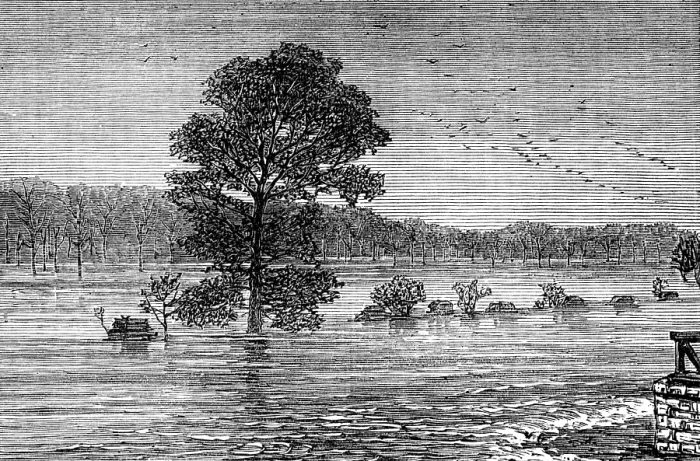 Framed Print : Inundations in the United States: Cumberland River, from the railroad bridge, 1874. Creator: Unknown Framed Print : Inundations in the United States: Cumberland River, from the railroad bridge, 1874. Creator: Unknown