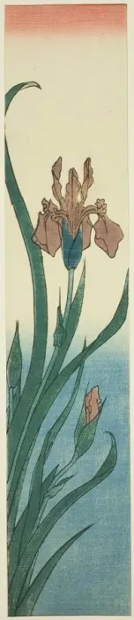 Framed Print : Iris, 1840s. Creator: Ando Hiroshige Framed Print : Iris, 1840s. Creator: Ando Hiroshige