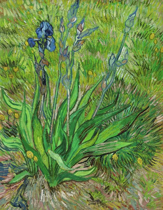 Framed Print : Iris, 1890. Creator: Gogh, Vincent, van (1853-1890) Framed Print : Iris, 1890. Creator: Gogh, Vincent, van (1853-1890)