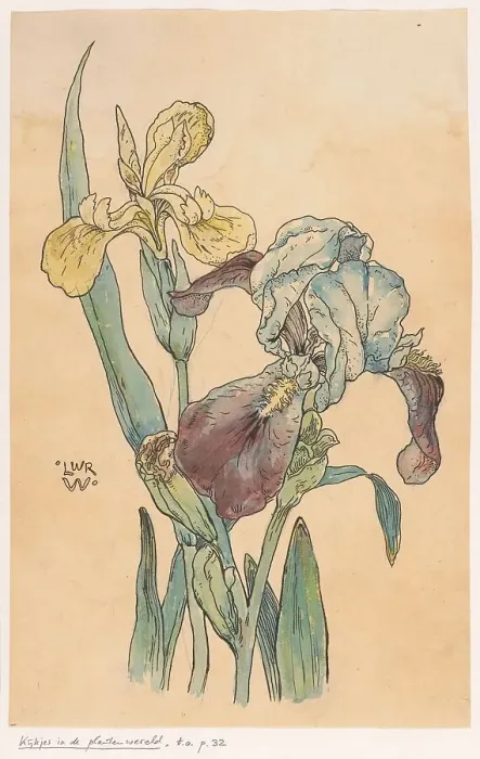 Framed Print : Iris, in or before 1893. Creator: Willem Wenckebach Framed Print : Iris, in or before 1893. Creator: Willem Wenckebach